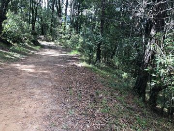 Terreno en Venta Omitlán de Juárez Hidalgo