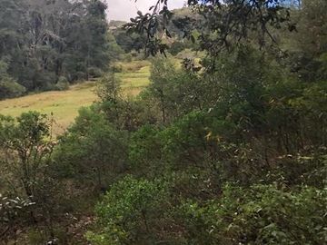 Terreno en Venta Omitlán de Juárez Hidalgo