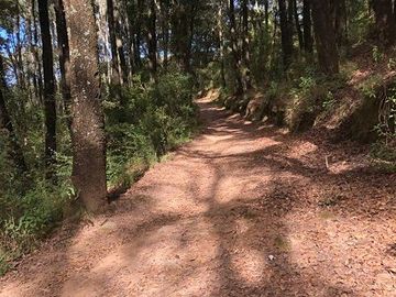 Terreno en Venta Omitlán de Juárez Hidalgo