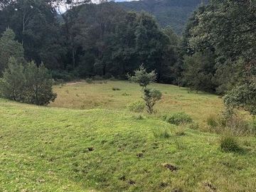 Terreno en Venta Omitlán de Juárez Hidalgo
