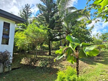ALFONSO FARM LOT