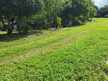 ALFONSO FARM LOT