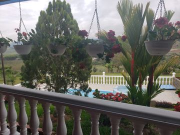 Venta finca en El Carmen Dagua