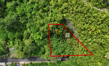 Residential 527-Square-Meter Lot in Maria Luisa Estate Park for Sale