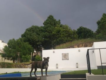 Casa en Venta en Ciudad Bugambilias