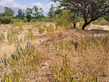VENTA DE TERRENO DE 2000M2 EN HUANTA AYACUCHO