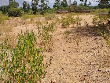 VENTA DE TERRENO DE 2000M2 EN HUANTA AYACUCHO