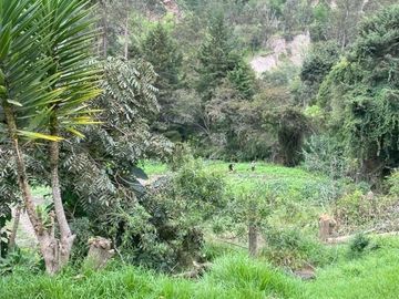 Oportunidad Finca en venta con 7.5 hectáreas de terreno y elegante casa a 8km de Gualaceo
