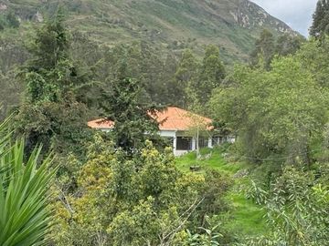 Oportunidad Finca en venta con 7.5 hectáreas de terreno y elegante casa a 8km de Gualaceo
