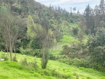 Oportunidad Finca en venta con 7.5 hectáreas de terreno y elegante casa a 8km de Gualaceo