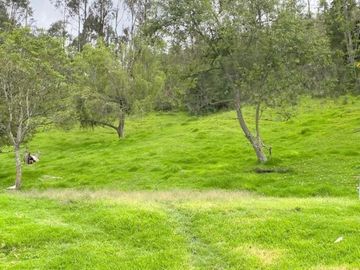 Oportunidad Finca en venta con 7.5 hectáreas de terreno y elegante casa a 8km de Gualaceo