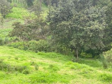 Oportunidad Finca en venta con 7.5 hectáreas de terreno y elegante casa a 8km de Gualaceo