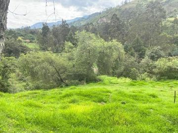 Oportunidad Finca en venta con 7.5 hectáreas de terreno y elegante casa a 8km de Gualaceo