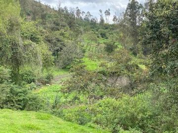 Oportunidad Finca en venta con 7.5 hectáreas de terreno y elegante casa a 8km de Gualaceo