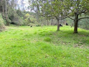 Oportunidad Finca en venta con 7.5 hectáreas de terreno y elegante casa a 8km de Gualaceo