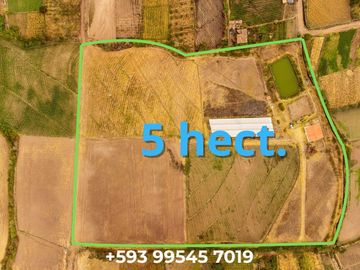 Venta espectacular Finca 5 Has Cotacachi