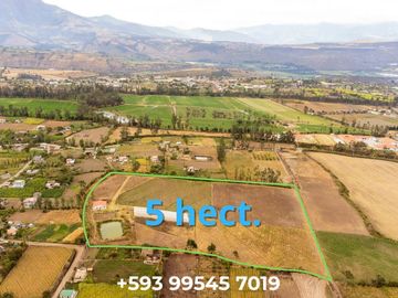 Venta espectacular Finca 5 Has Cotacachi