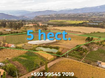 Venta espectacular Finca 5 Has Cotacachi