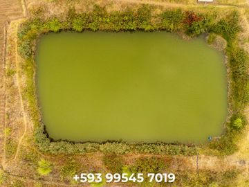 Venta espectacular Finca 5 Has Cotacachi