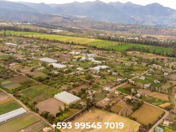 Venta espectacular Finca 5 Has Cotacachi