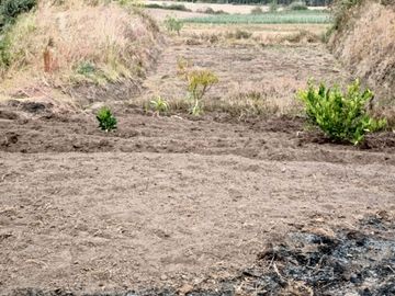 Venta espectacular Finca 5 Has Cotacachi