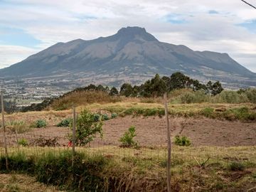 Venta espectacular Finca 5 Has Cotacachi