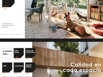 Nuevo Proyecto Inmobiliario 