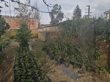 CASA EN VENTA EN SAN JOSÉ DE BAVARIA