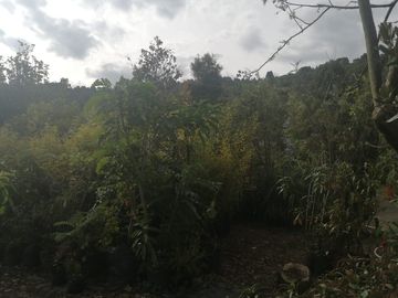 CASA EN VENTA EN SAN JOSÉ DE BAVARIA