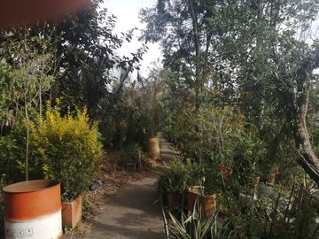 CASA EN VENTA EN SAN JOSÉ DE BAVARIA