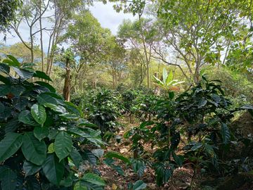 FINCA EN VENTA EN FUSAGASUGÁ