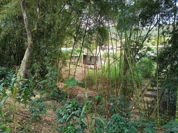 FINCA EN VENTA EN FUSAGASUGÁ