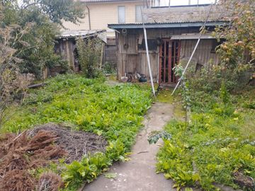 Venta casa Lota.