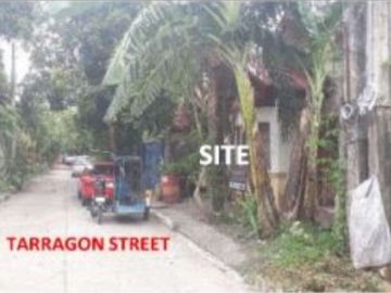 𝐏𝐑𝐎𝐏𝐄𝐑𝐓𝐘 𝐅𝐎𝐑 𝐒𝐀𝐋𝐄  𝐢𝐧 Sta. Lucia Gardens, Brgy. Alijis, Bacolod City, Negros Occidental