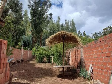 CASA EN VENTA CON ARBOLES FRUTALES Y CANCHON
