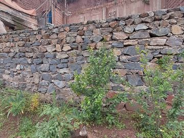 TERRENO EN VENTA EN SAYLLA CON ARBOLES FRUTALES