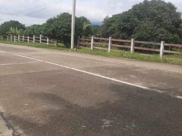 Scenic Farm Lot for Sale in Don Salvador Benedicto, San Carlos ID 14937