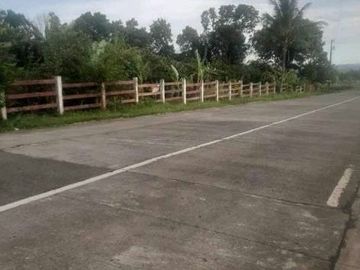 Scenic Farm Lot for Sale in Don Salvador Benedicto, San Carlos ID 14937