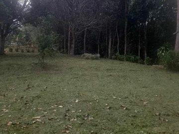Scenic Farm Lot for Sale in Don Salvador Benedicto, San Carlos ID 14937