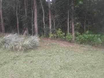 Scenic Farm Lot for Sale in Don Salvador Benedicto, San Carlos ID 14937