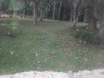 Scenic Farm Lot for Sale in Don Salvador Benedicto, San Carlos ID 14937