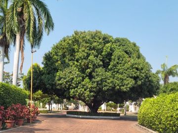 CASA CAMPESTRE EN VENTA EN GIRARDOT