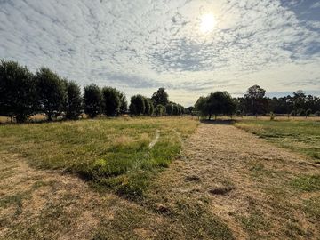 Se Vende Propiedad en Parcela en Paillaco, Región de Los Ríos.