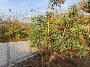 Casa en venta en Tepoztlán Morelos, nueva en zona tranquila