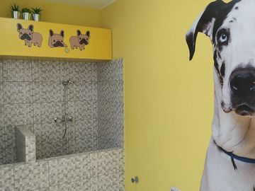 Nuevo Proyecto De Depas En Santa Beatriz🏡🏠