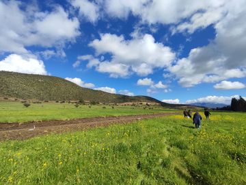 ¡Nuevas parcelas desde 5.000 m² en María Pinto a solo 25 minutos de Melipilla! Terrenos planos y con topografía diversa
