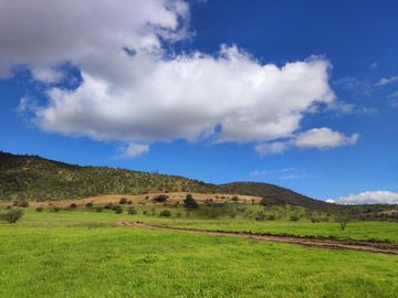 ¡Nuevas parcelas desde 5.000 m² en María Pinto a solo 25 minutos de Melipilla! Terrenos planos y con topografía diversa