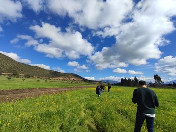 ¡Nuevas parcelas desde 5.000 m² en María Pinto a solo 25 minutos de Melipilla! Terrenos planos y con topografía diversa