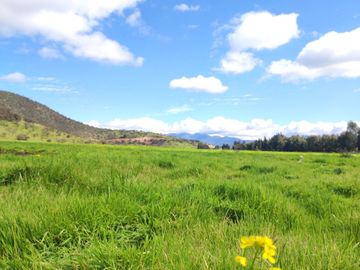 ¡Nuevas parcelas desde 5.000 m² en María Pinto a solo 25 minutos de Melipilla! Terrenos planos y con topografía diversa
