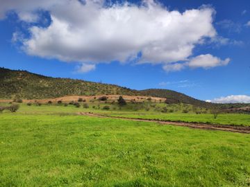¡Nuevas parcelas desde 5.000 m² en María Pinto a solo 25 minutos de Melipilla! Terrenos planos y con topografía diversa